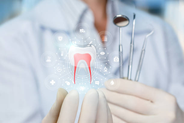 Why Choose Us for Your Dental Needs in Round Lake, IL